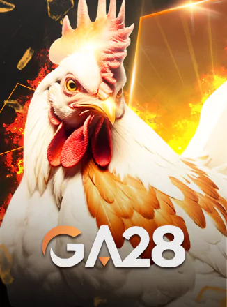 Cock Fight