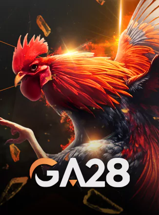 Cock Fighting
